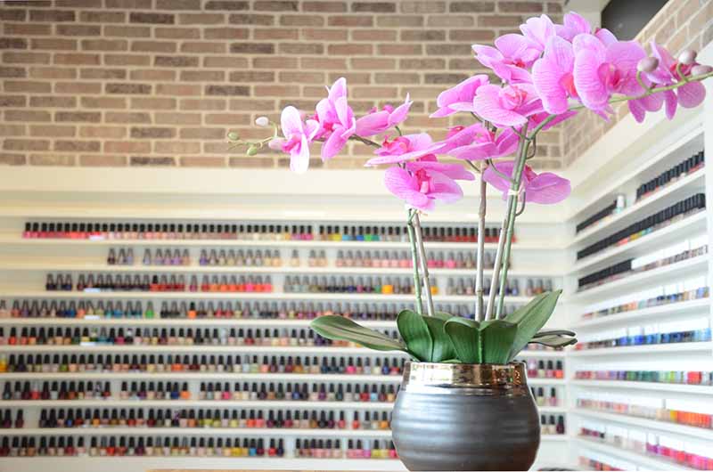 Cần Nhiều Thợ Làm Bột, Chân Tay Nước, SNS, Gel...In Alpharetta, GA
