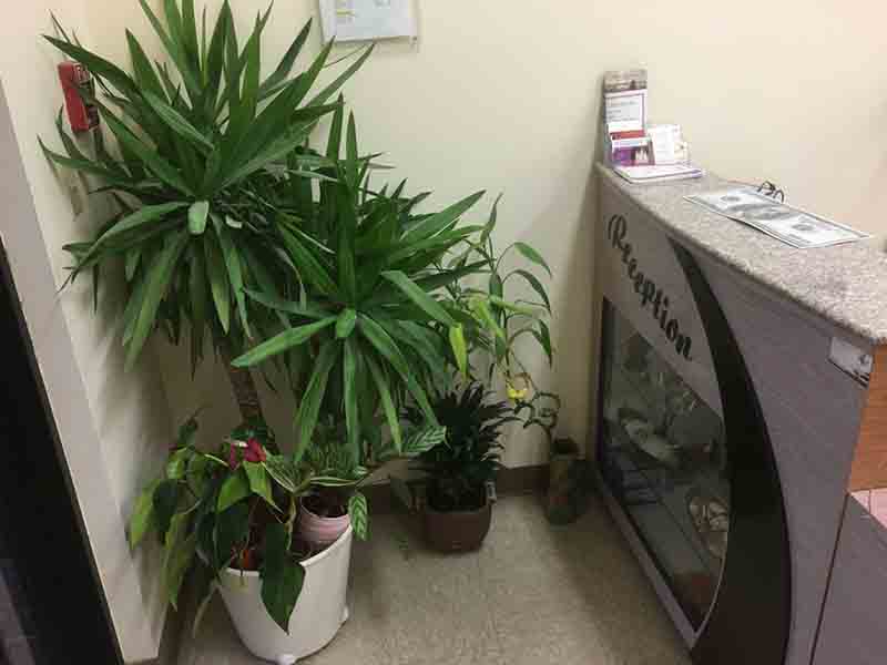 Sang Tiệm Nail In Guilford, CT