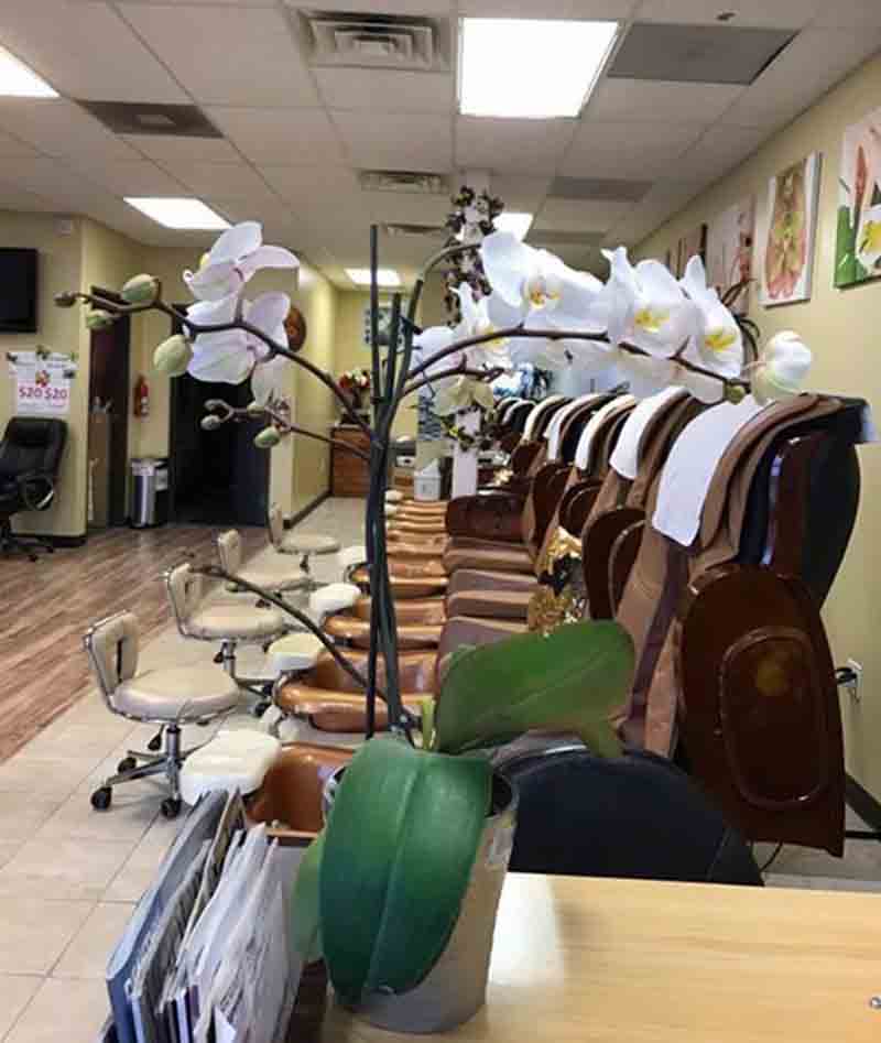 Cần Sang Tiệm Nail In CLINTON-TOWNSHIP, MI