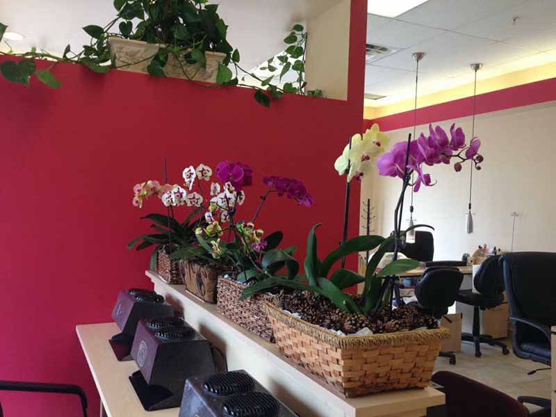 Cần Gấp Thợ Nails, Bao Lương Or Ăn Chia Income Ổn Định Good Tip Vùng Market Dr Stillwater, Minnesota