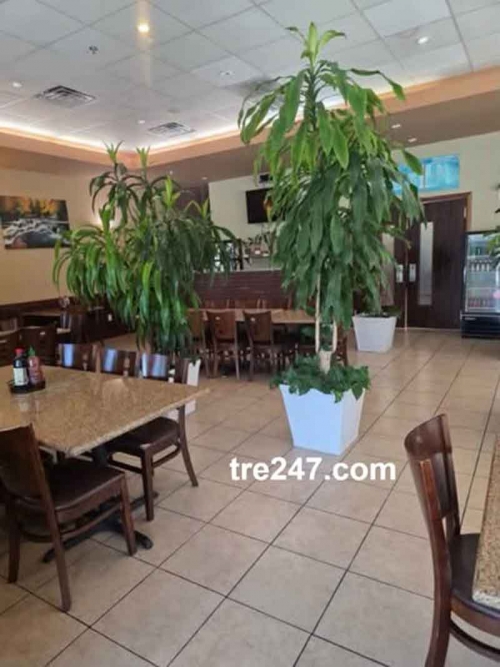 Phở Filet Cần Sang Nhượng Nhà Hàng Phở Tại San Antonio, TX Tại San Antonio