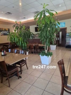 Phở Filet Cần Sang Nhượng Nhà Hàng Phở Tại San Antonio, TX Tại San Antonio