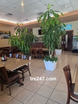Phở Filet Cần Sang Nhượng Nhà Hàng Phở Tại San Antonio, TX Tại San Antonio